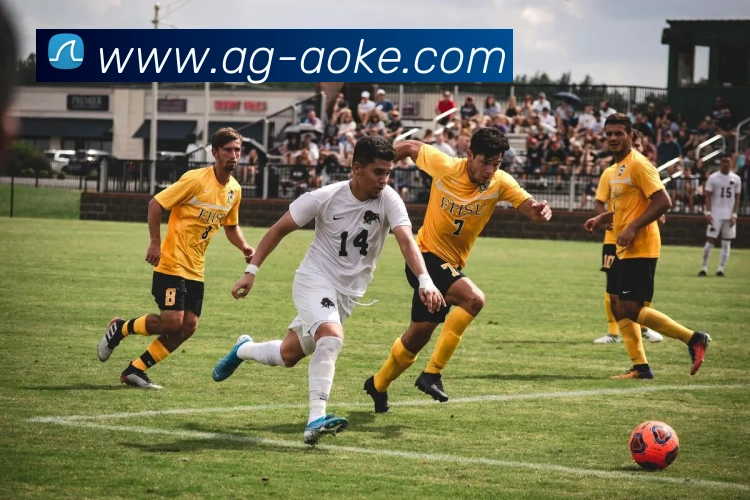 澳客appAPP 封面图